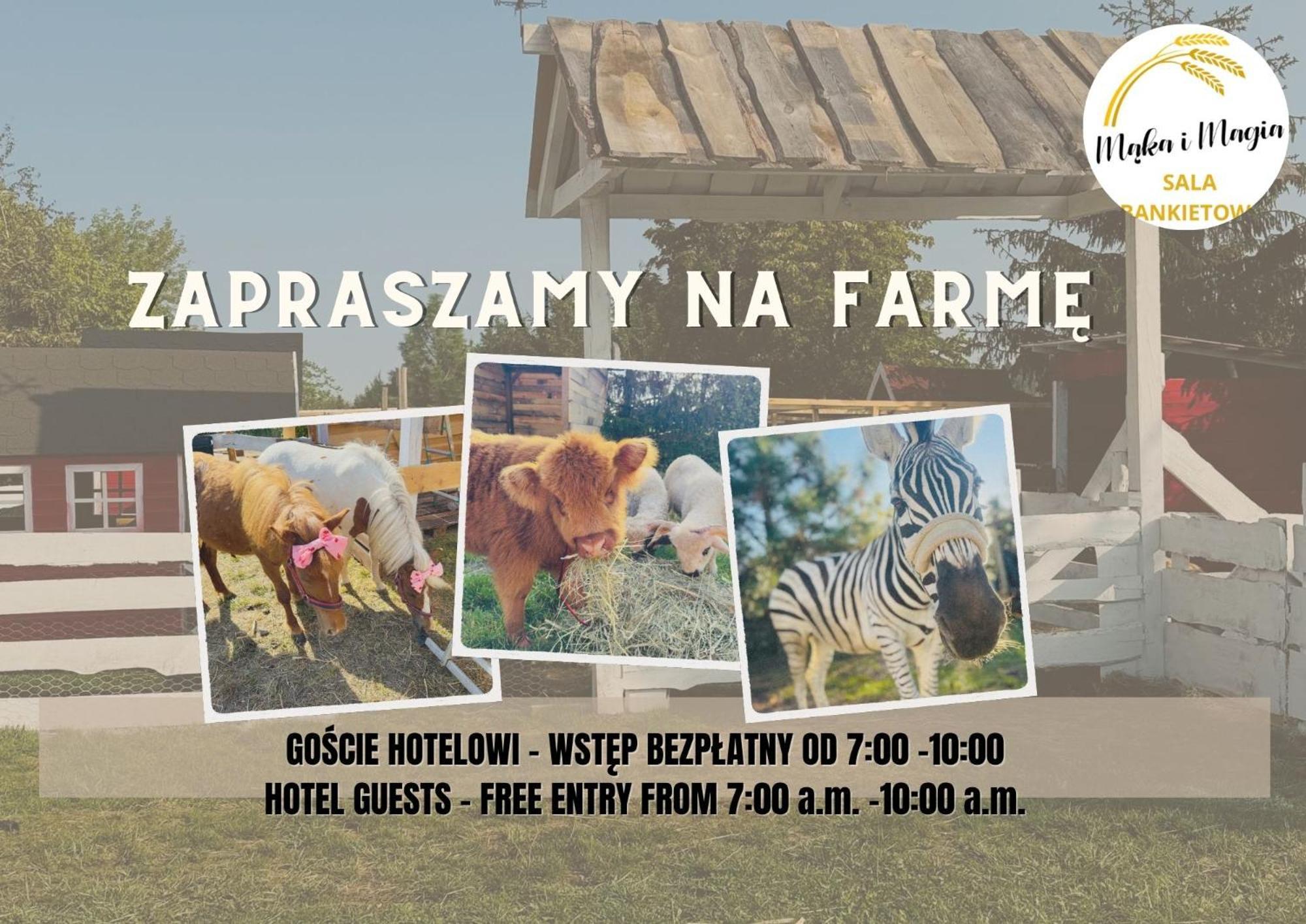 Magiczna Farma Hotel Obiady Maka I Magia Zambrow Exteriör bild